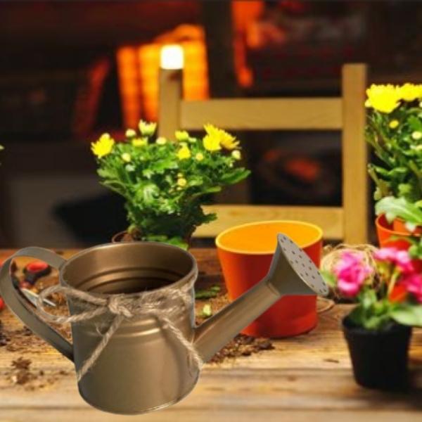 Regadera de metal decorativa