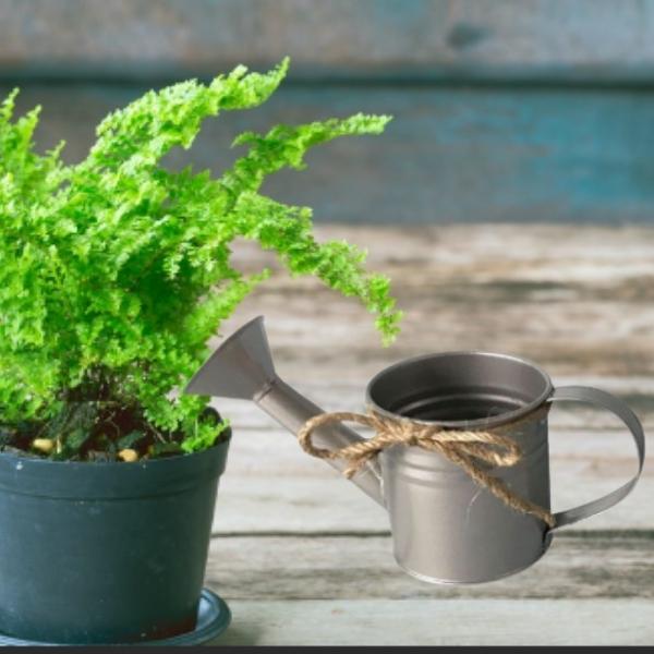 Regadera de metal decorativa - Imagen 2